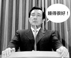 Image result for 台灣人對不起國民黨？