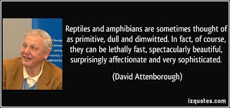 Reptiles Quotes. QuotesGram via Relatably.com