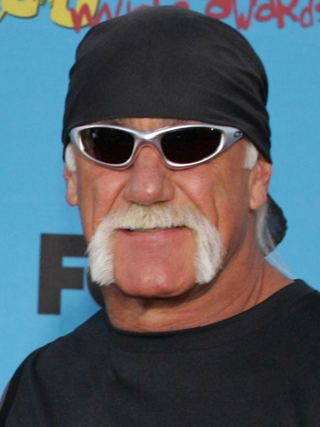 Hulk Hogan portrait