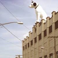 Image result for nipper albany