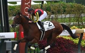 【ユニコーンS予想】前走の馬体重に顕著な傾向あり！ 大型馬は前走4コーナーでの位置取りに注意