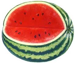 Resultado de imagen para sandia