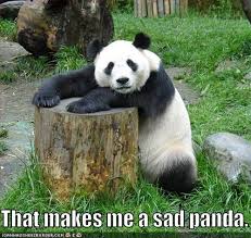 Résultat de recherche d'images pour "sad panda"