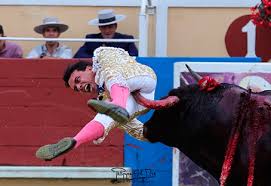 Avance Taurino - News update