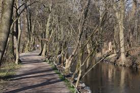 Picture of Pasinger Stadtpark