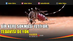 Haber Kıbrıs - News update