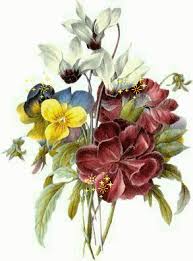 images?q=tbn:ANd9GcSDgcIxjQvBWDHlPXu9x5s_7jNkflpphxoMHtvcbzj2CefIv1Wq