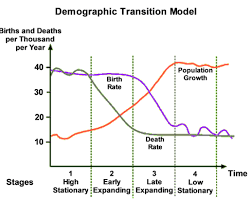 Schéma du modèle de la transition démographique, généré par IA