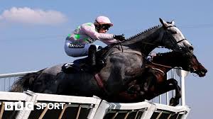 Constitution Hill Falls Again as Lossiemouth Wins Aintree Hurdle