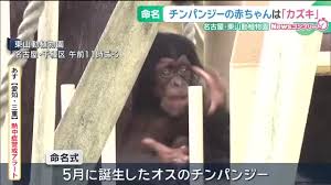 名古屋テレビ【メ～テレ】 - News update