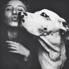 Картинки по запросу vkontakte middle finger