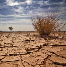 Image result for drought images