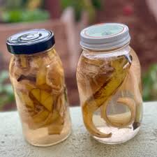 The Zero Waste Family - Banana peel is rich in potassium and magnesium, both which are great for the garden so don’t throw away your peel and instead make banana peel fertilizer. Method: Immerse chopped up peels in water. Steep the peels for two to three days. After soaking, strain the liquid into a large container or jar. Add the strained liquid to your plants, pouring it around the outer base of the plant to reach the roots. | Facebook