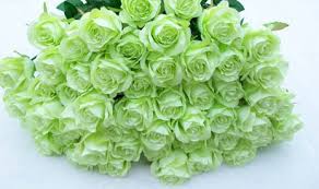 Image result for karangan bunga mawar biru