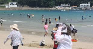 네이트 뉴스 - News update