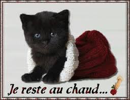 Résultat de recherche d'images pour "gif décembre"