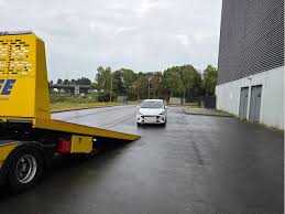rijbewijs — trending on Google in Netherlands