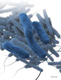 Outbreak of Legionnaires’ Disease Contaminates E. WA Hotel Guests - 1