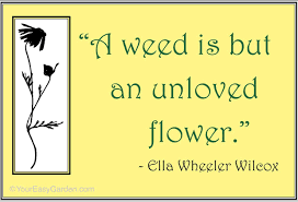 Favorite Gardening Quotes | Your Easy Garden via Relatably.com