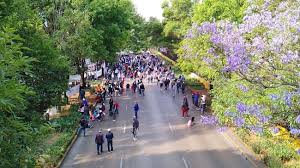 Accidentes provocan cierres en CDMX y carreteras de México hoy lunes 20 de abril