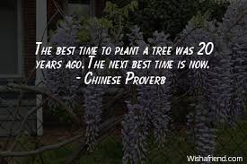 Chinese Proverb Quote: The best time to plant a tree was 20 years ... via Relatably.com