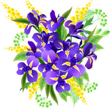 images?q=tbn:ANd9GcSE9ASoor44mbiEuZF8WMn