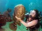 Florida keys dive packages