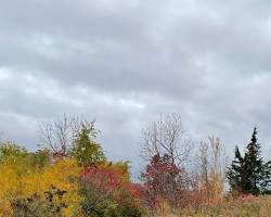 Image of Humber Bay Shores in Toronto during fall