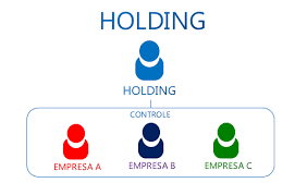 Resultado de imagem para exemplos de holding