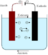 Elektrolyte und Mineralstoffe