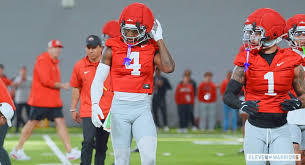 ohio state buckeyes Picture