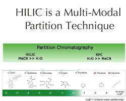 Image of Hydrophilic interaction liquid chromatography (HILIC) C8 columns