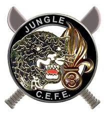 Image result for World Foreign Legions
