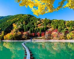 奥多摩湖の紅葉の画像