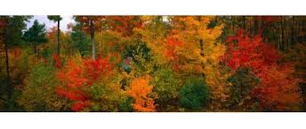 Vaizdo rezultatas pagal užklausą „rudens vaizdai“