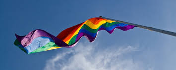 É divulgado o relatório do Grupo de Estudos do Sínodo sobre questões LGBTQ+; novas formas de resposta do ministério