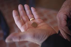 external image images?q=tbn:ANd9GcSERJuFIqOJCjzoDQhU254gzttGkdtBPMe4LnJxcZRtL0L2zedP