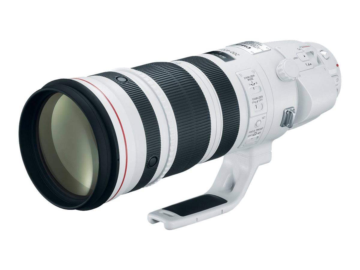 Canon EF 200-400mm f/4L IS USM Extender 1.4x Lens