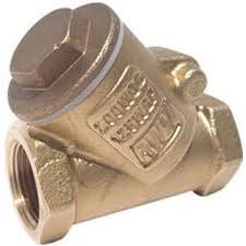 Rwv Brass Swing Check Valve Y Pattern With Threaded Ends, 1 ...