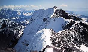 Resultado de imagen para parque nacional aconcagua + flora