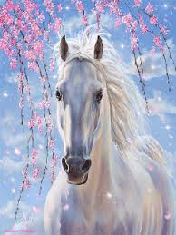 Cheval de mes r&ecirc;ves