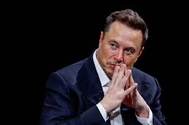 Documentário sobre Musk: diretor de filme diz que bilionário inspira medo