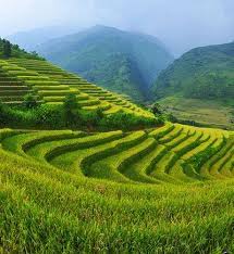 Image result for sapa vietnam