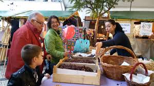 Resultado de imagem para figo preto de torres