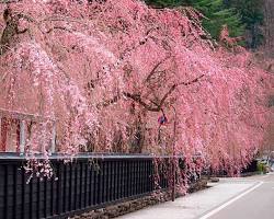 角館の画像