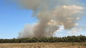 Trend Google: incendio roma