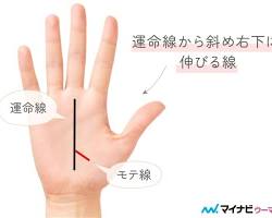 運命線から斜め下に伸びる線（モテ線、寵愛線）の画像