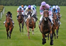 Résultat de recherche d'images pour "image de hippodrome de chevaux de course"