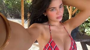 Kylie Jenner's Beach Getaway Photos Spark Fan Questions About Timothee Chalamet