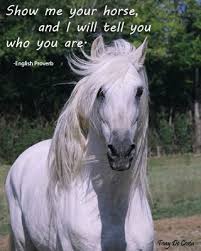 Image result for HORSE